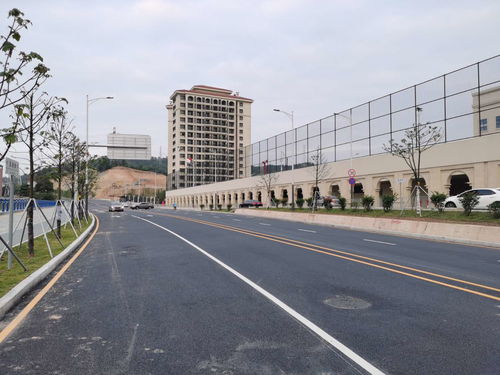 坂田北国际化学校配套道路市政工程圆满完工