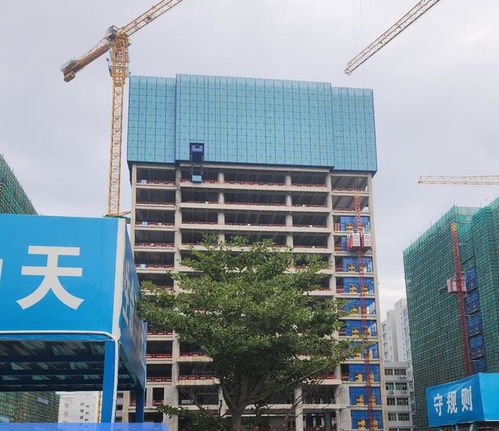 稳丨领创全钢爬架多个项目同时获评 广东省房屋市政工程安全生产文明施工示范工地