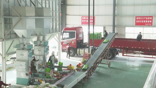 复工复产忙 他们为粮食企业复工复产 护航